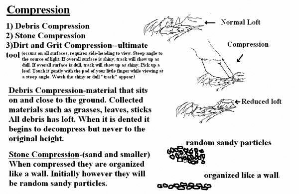 Compression