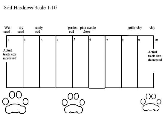 Soil Hardness