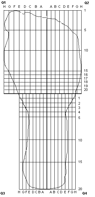 Foot Map